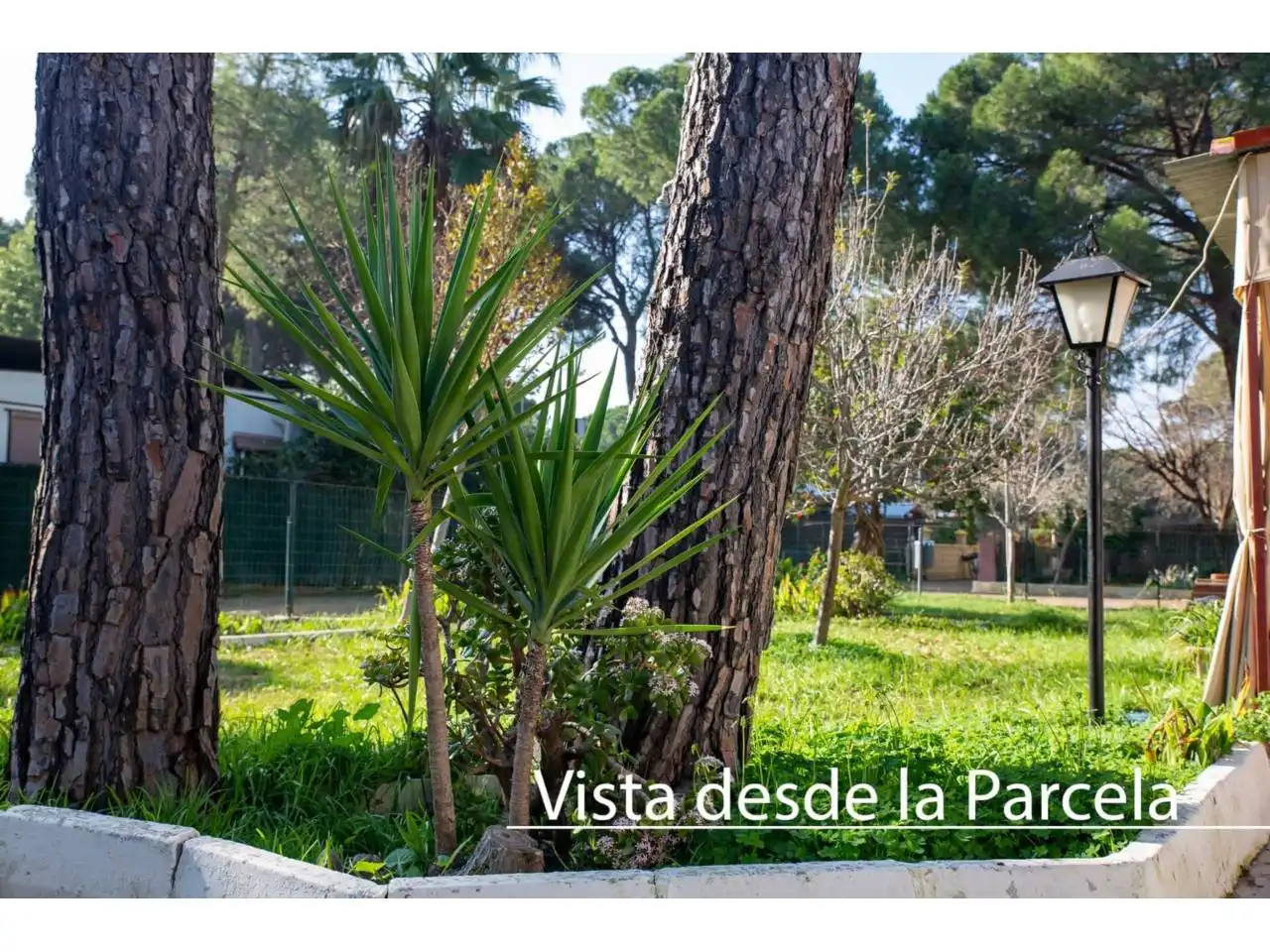 Jardín de Casa o chalet en venta en Carmona con Aire acondicionado, Calefacción y Jardín privado