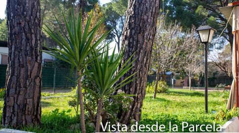 Foto 3 de Casa o chalet en venta en Camping de la Algabarra, Carmona, Sevilla