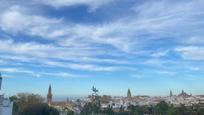 Vista exterior de Casa o xalet en venda en Carmona amb Terrassa