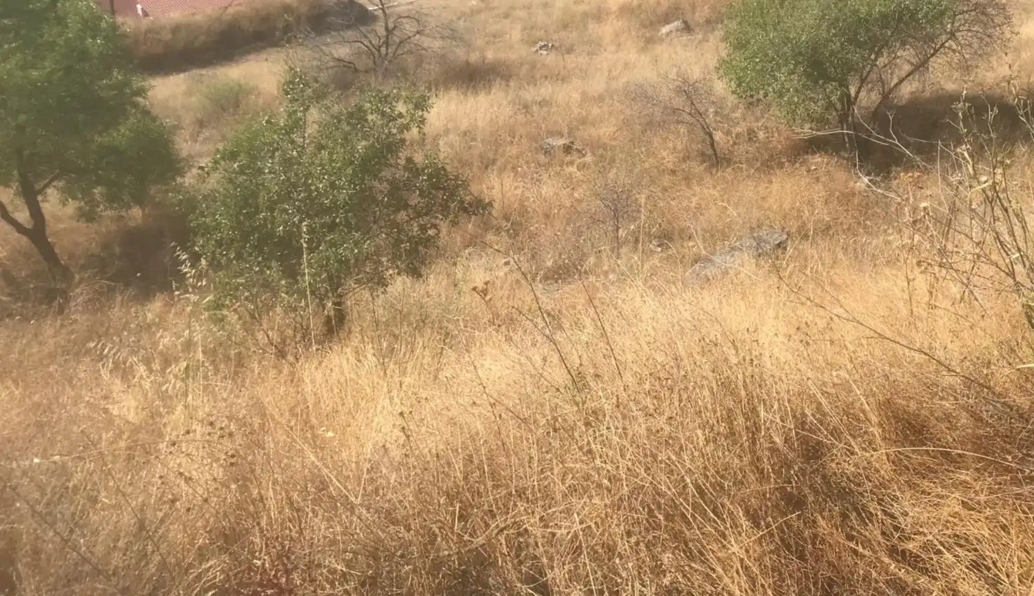 Finca rústica en venda en Orusco de Tajuña