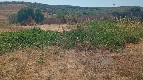 Photo 5 of Residential for sale in Jauja, Lucena