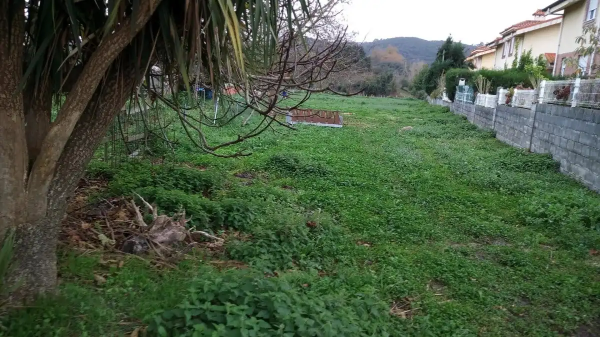 Terreni e lotti in vendita a Arnuero