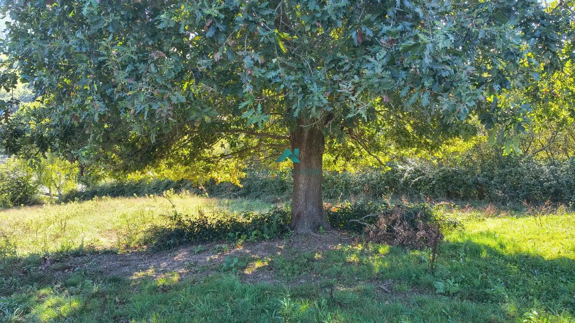Terreno rustico in vendita a Tarrueza, imagen 3