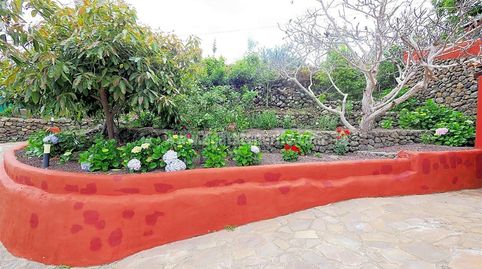 Foto 5 de Finca rústica en venta en La Vega - El Amparo - Cueva del Viento, Icod de los Vinos