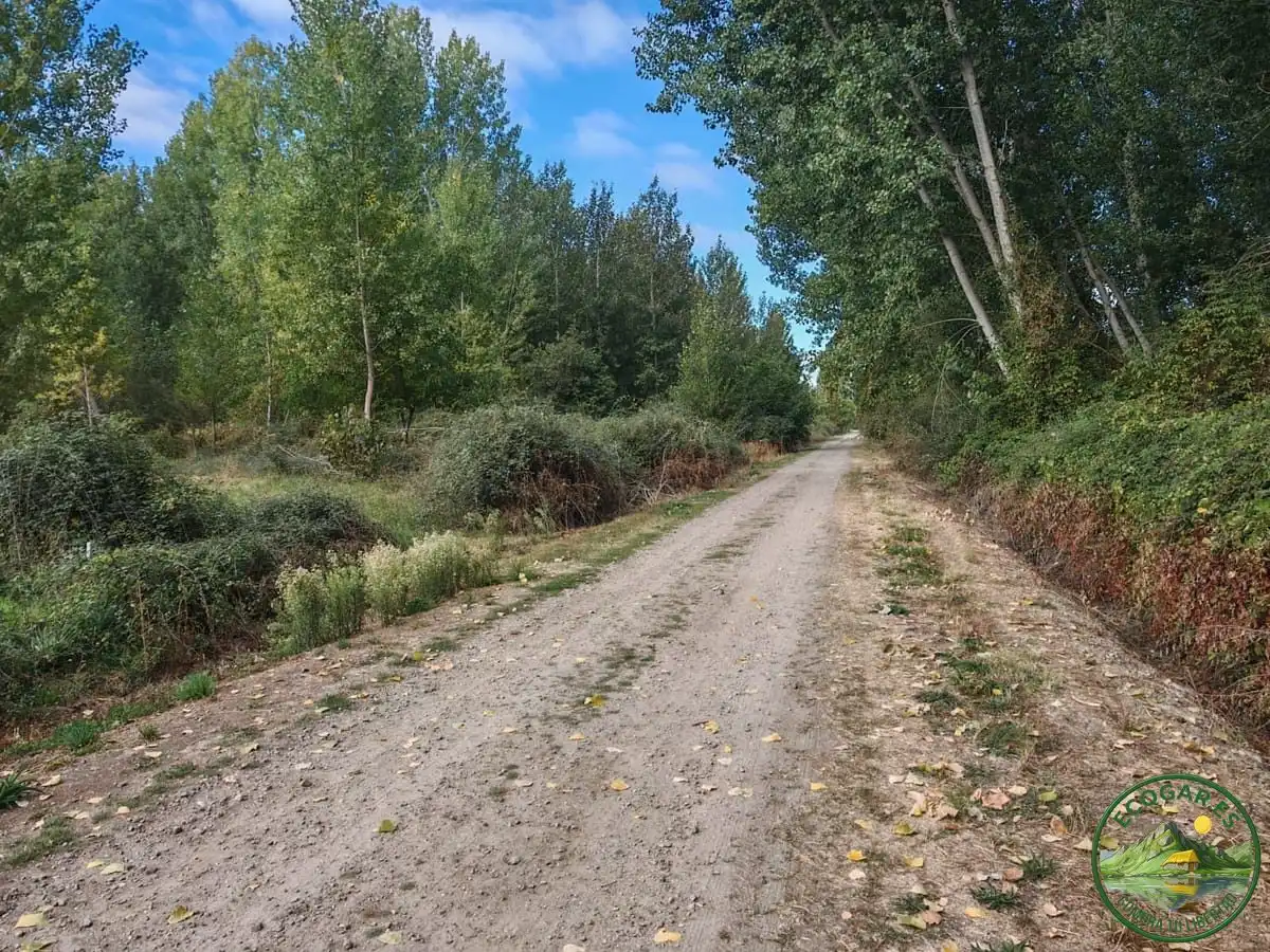 Finca rústica en venta en Ponferrada