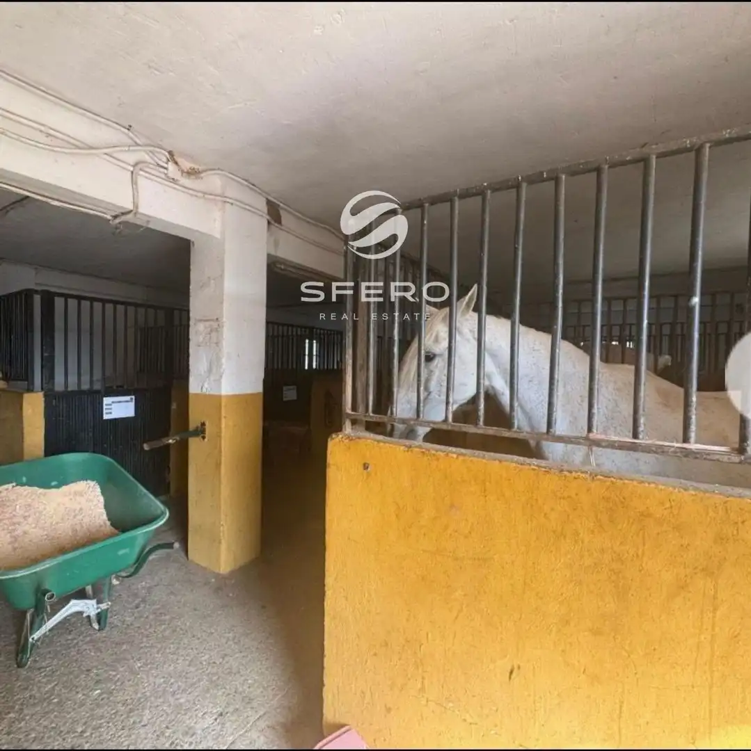 Detached house with pool for sale in El Camp de Túria, imagen 30
