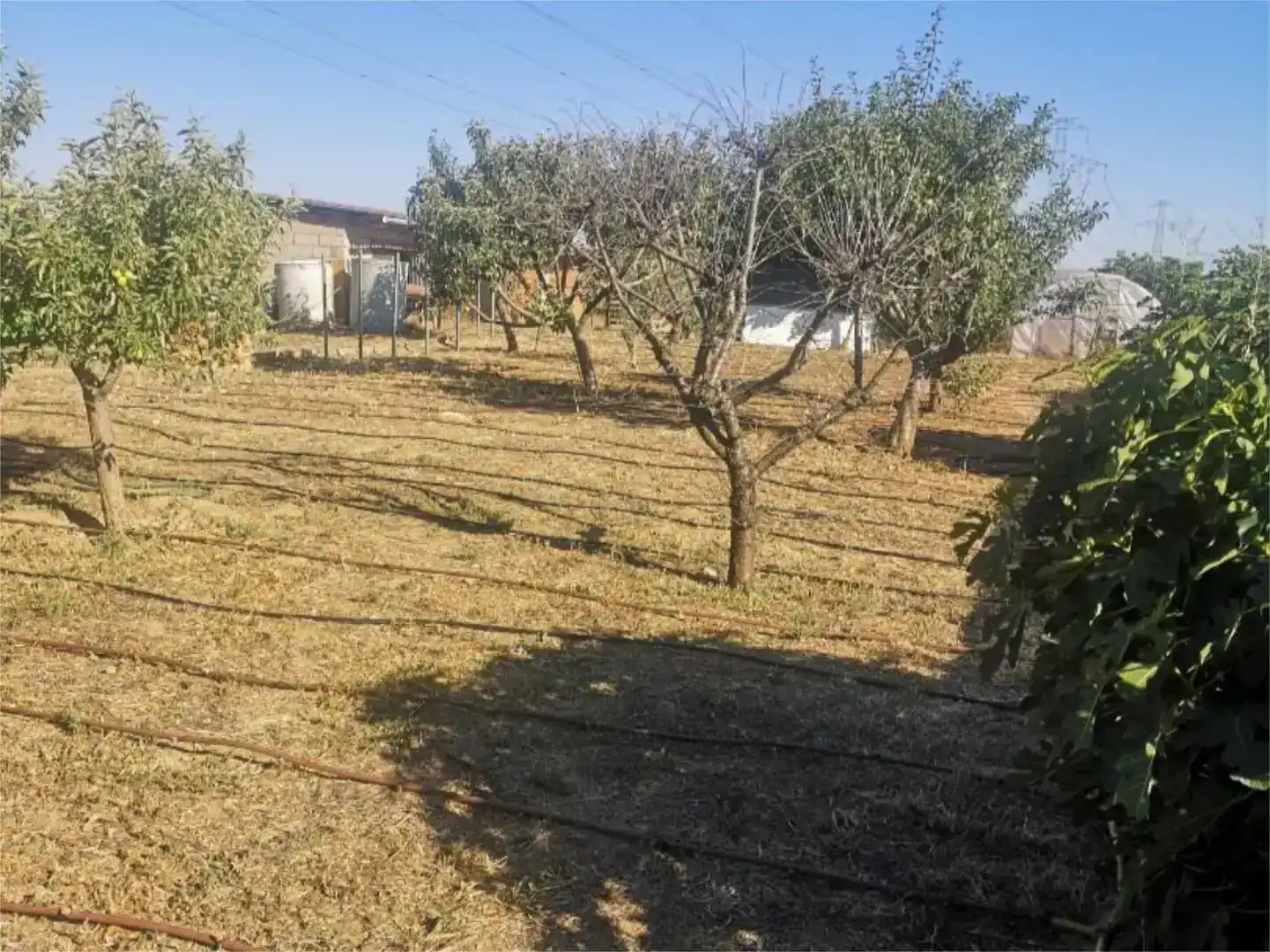 Casa o chalet en venta en Mansilla de las Mulas