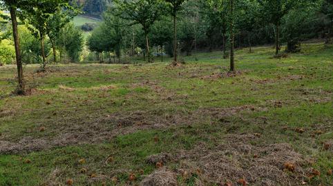 Foto 5 de Terreno en venta en Dumbría, A Coruña