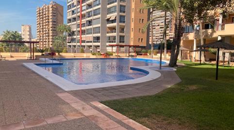 Foto 3 de Piso en venta en Playa Poniente, Benidorm