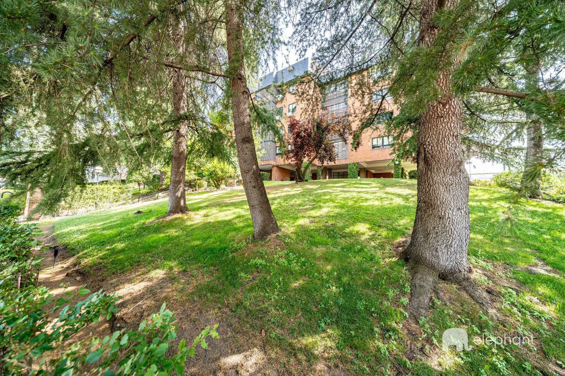 Exterior view of Flat for sale in Las Rozas de Madrid  with Heating, Private garden and Terrace