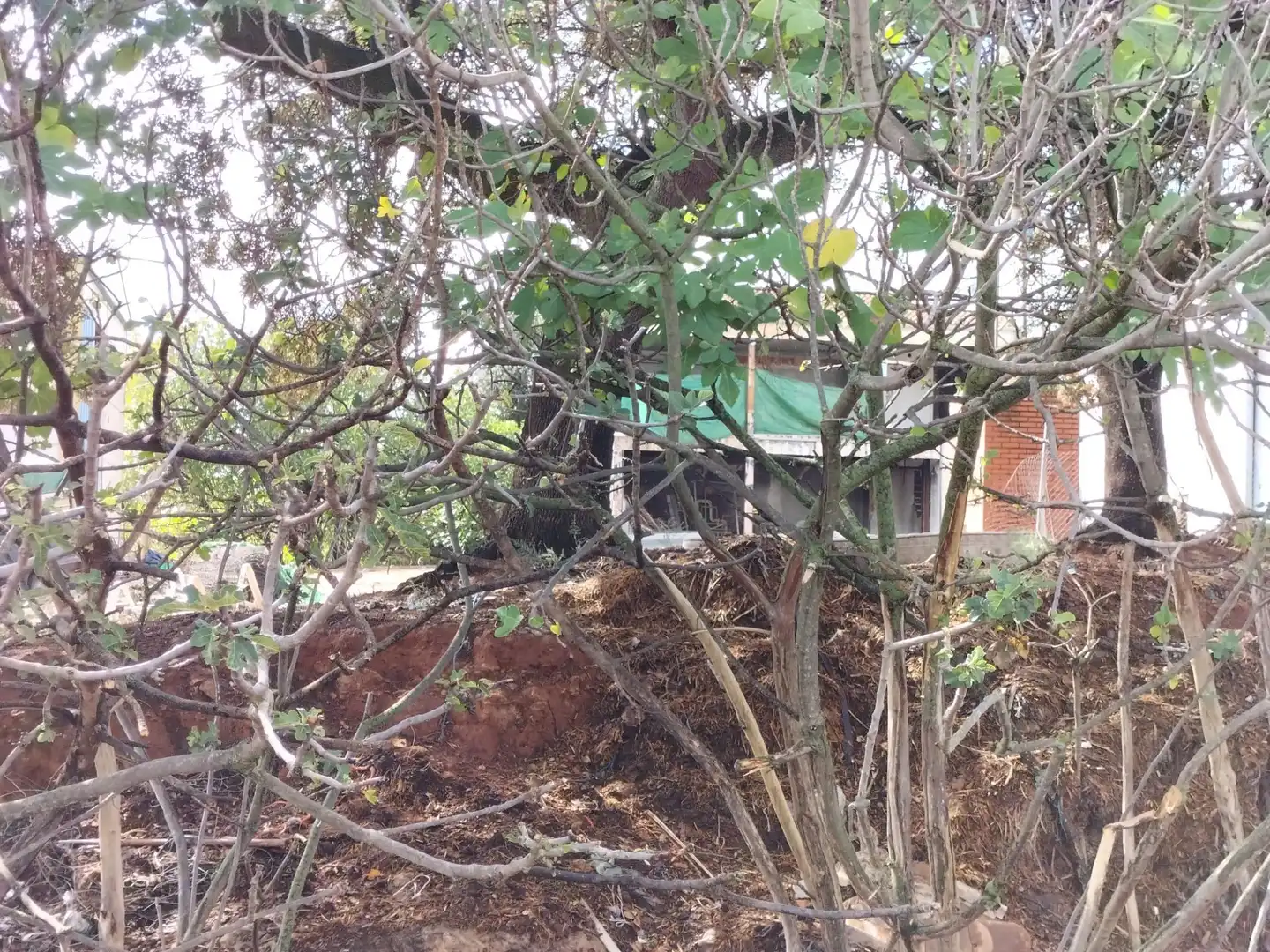 Wohnbaugrundstück zum Verkauf in Periurbano Norte, imagen 11
