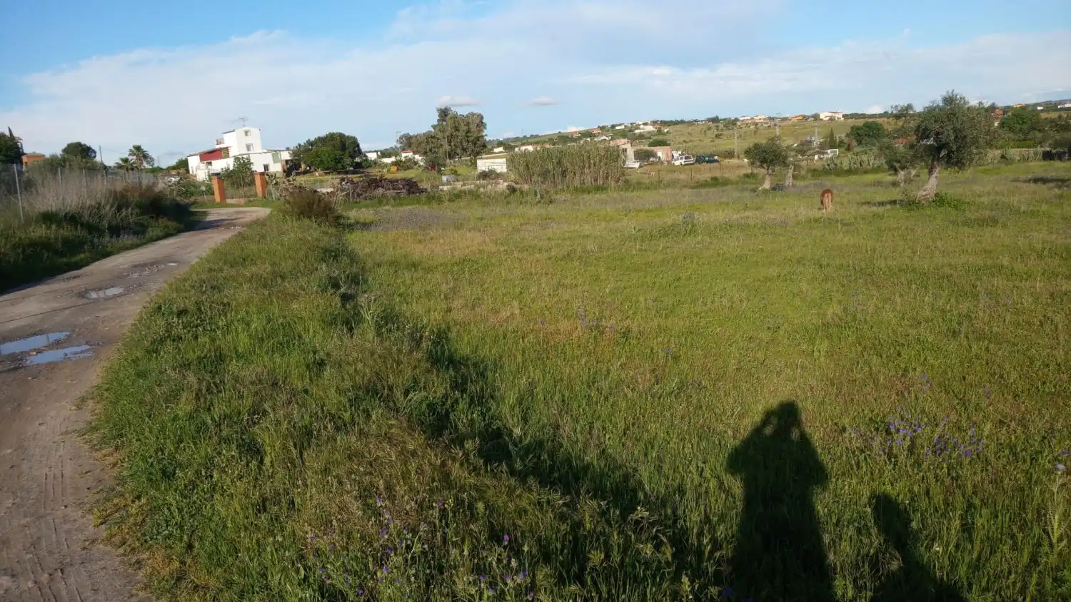 Casa rústica en venda a Sur, imagen 3