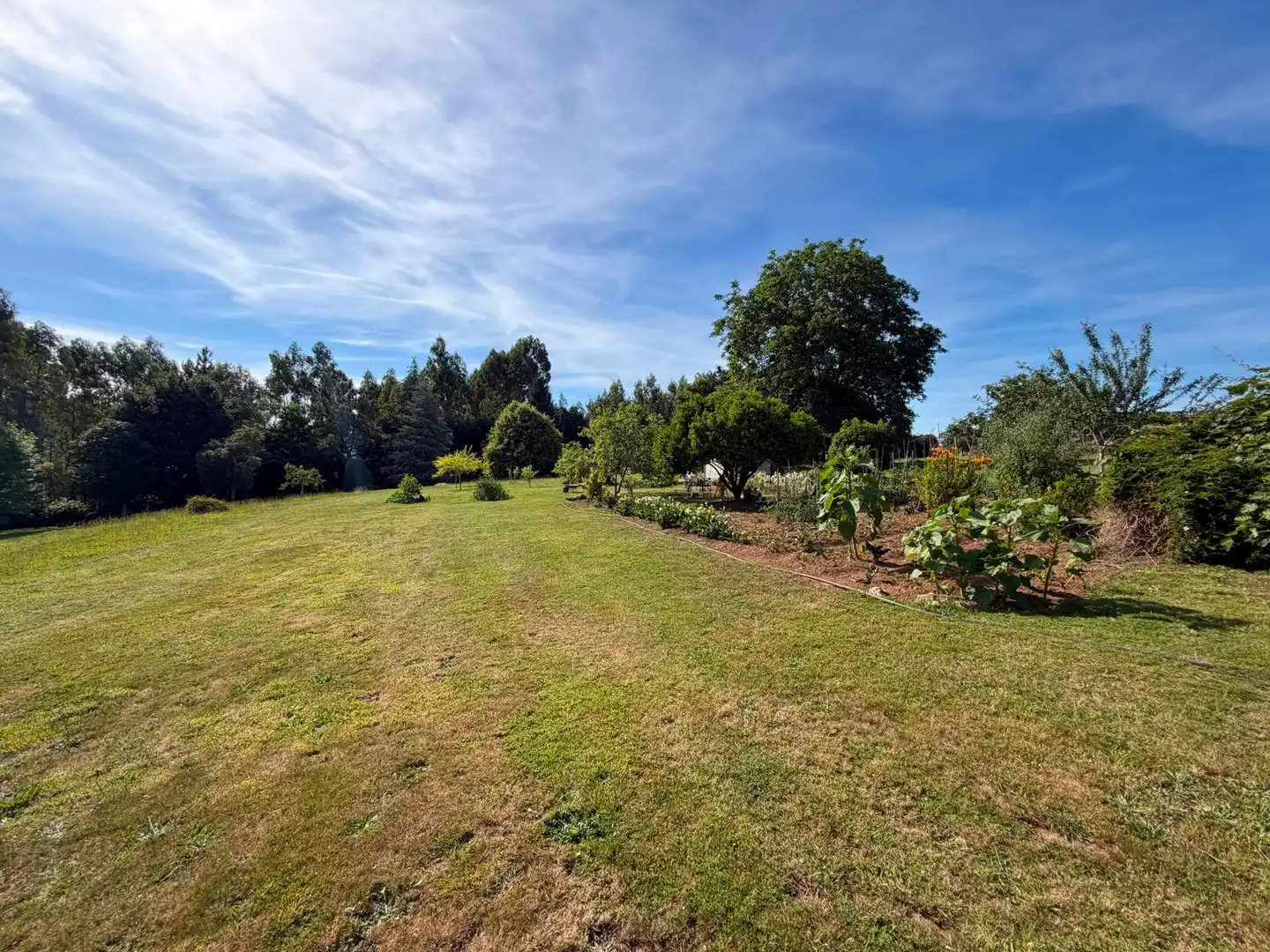 Land for sale in Fene