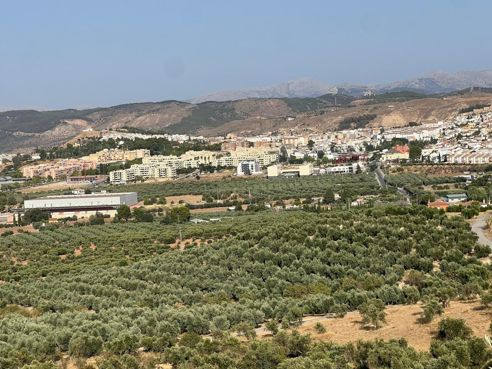Exterior view of Residential for sale in Antequera