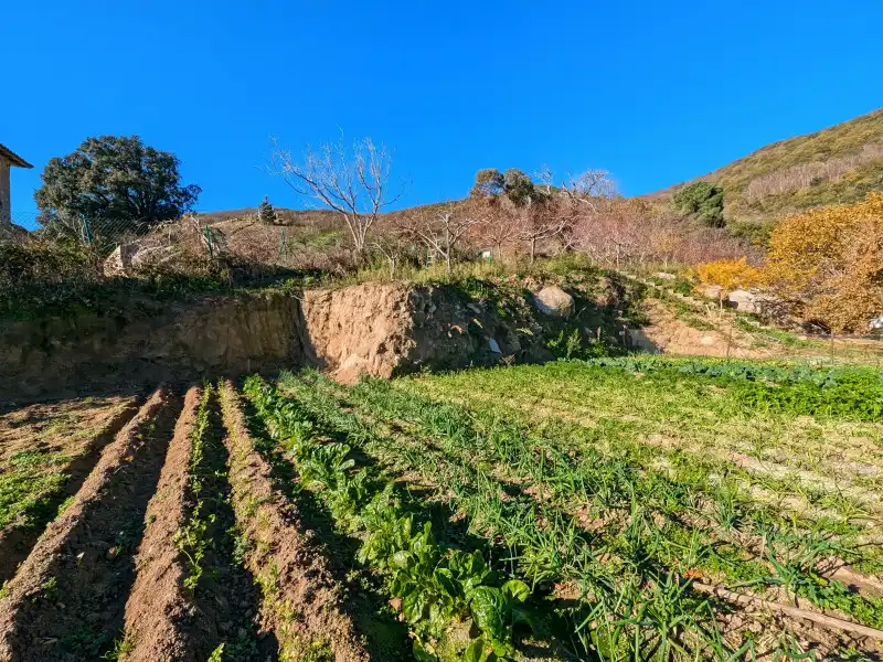 Casa o chalet en venta en Agullana con Aire acondicionado y Piscina