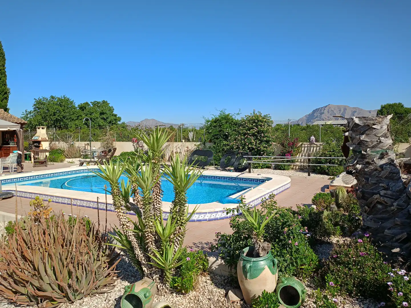 Piscina de Casa o chalet en venta en Jacarilla con Jardín privado, Terraza y Piscina