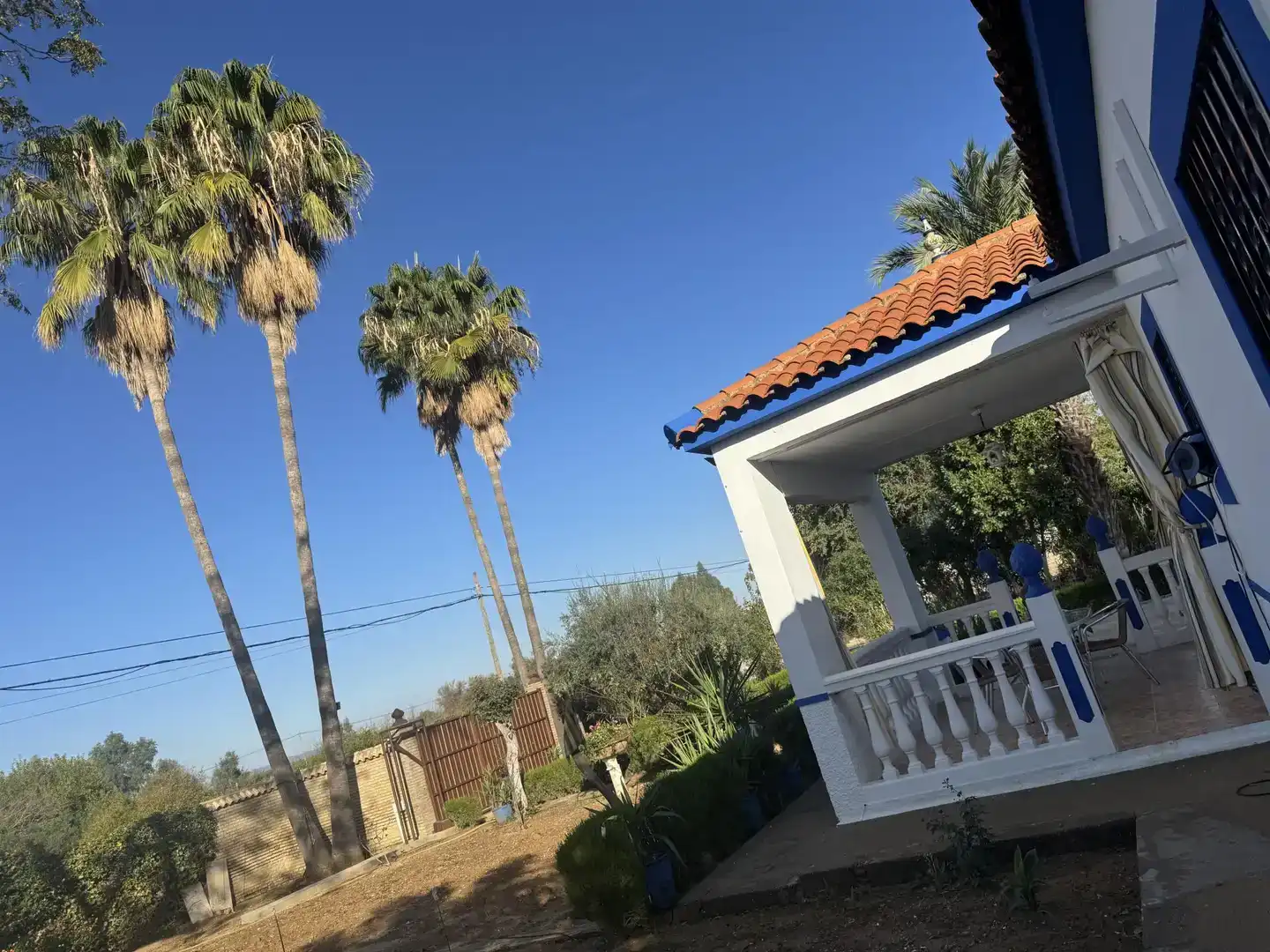 Vista exterior de Casa o xalet en venda en Carmona amb Aire condicionat, Jardí privat i Traster