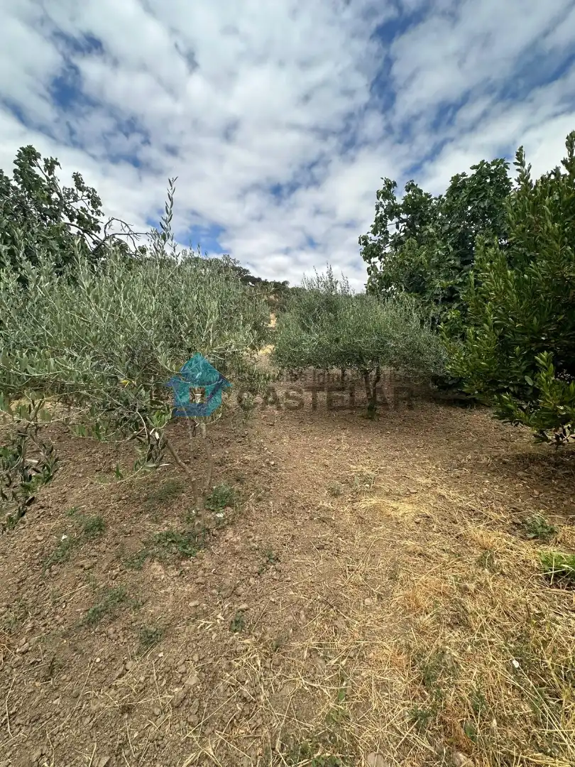 Casa o xalet en venda en Oliva de la Frontera amb Moblat