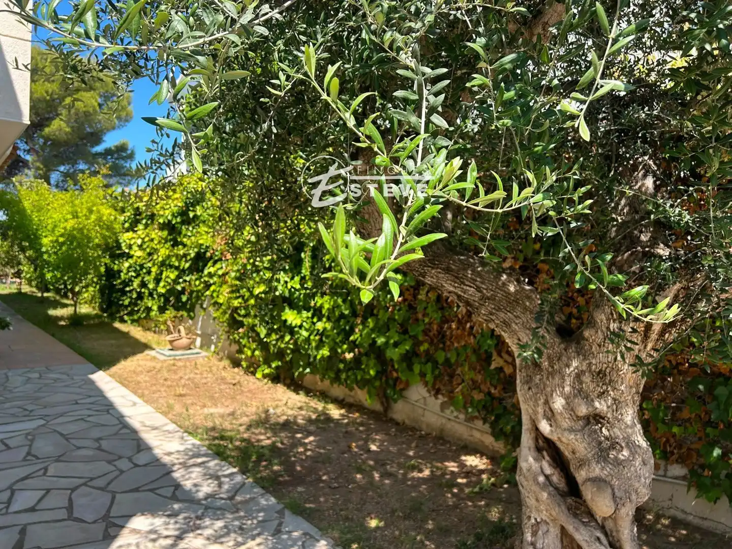 Maison à vendre à Terral de Dalt, imagen 8
