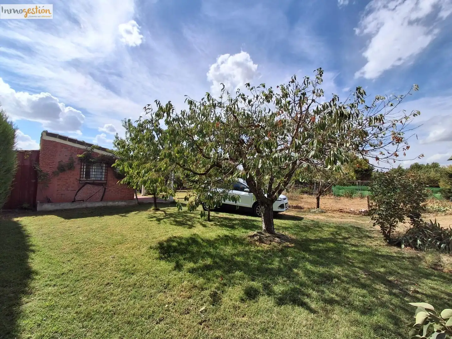 Terreno rustico in vendita a Tudela de Duero, imagen 22