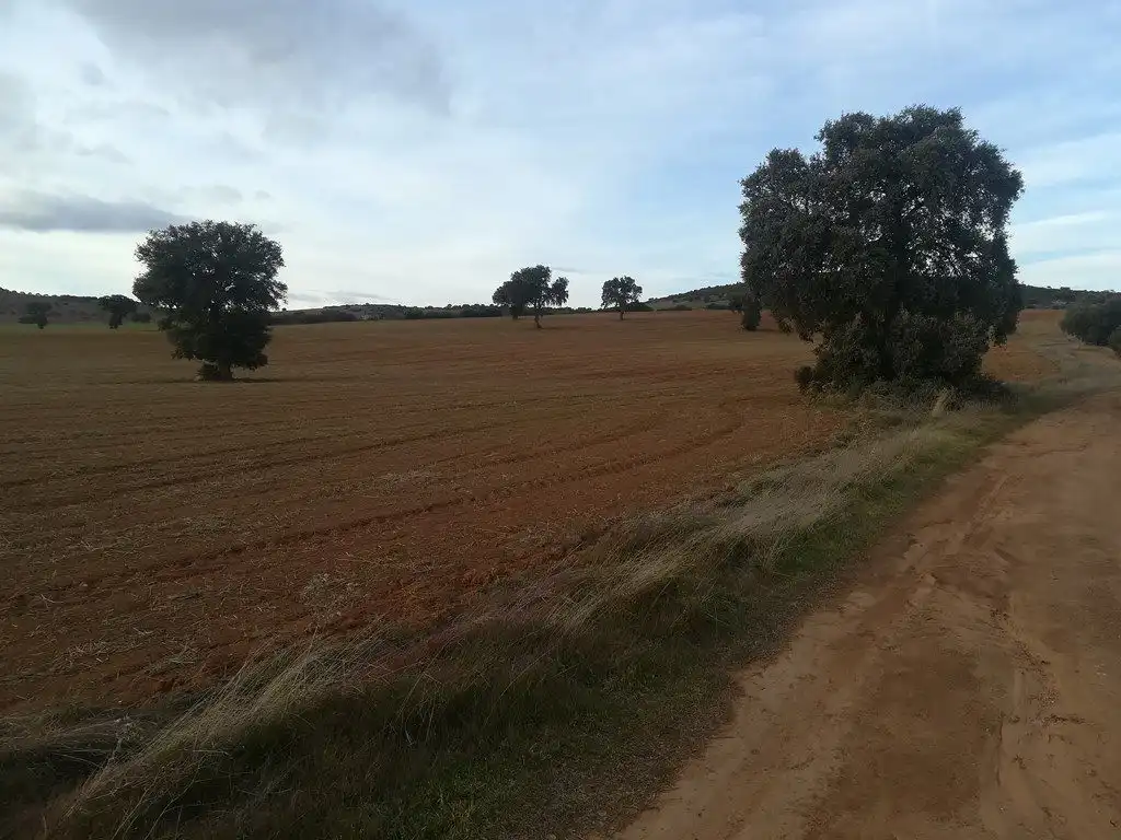 Casa rústica en venda a Santa Cruz de Mudela, imagen 8