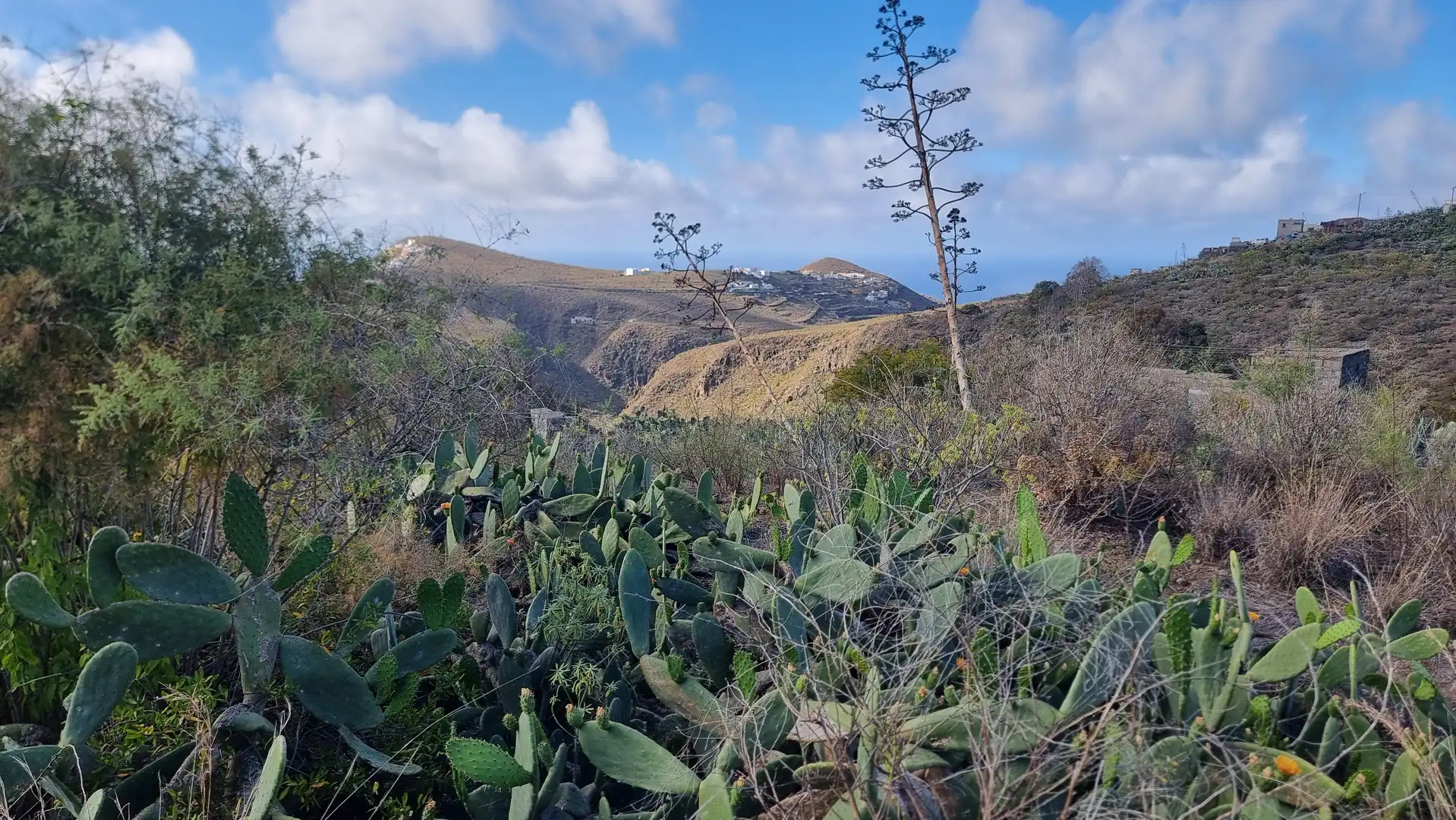 Terrenos y solares en venta en Diseminado Lomo las Azucenas 25, imagen 7