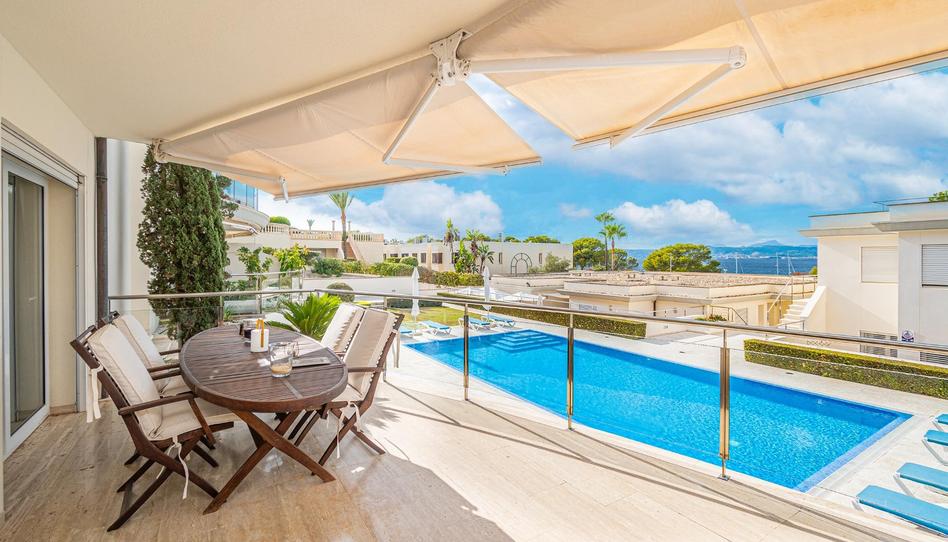 Foto 1 de Pis de lloguer a Son Verí, Illes Balears