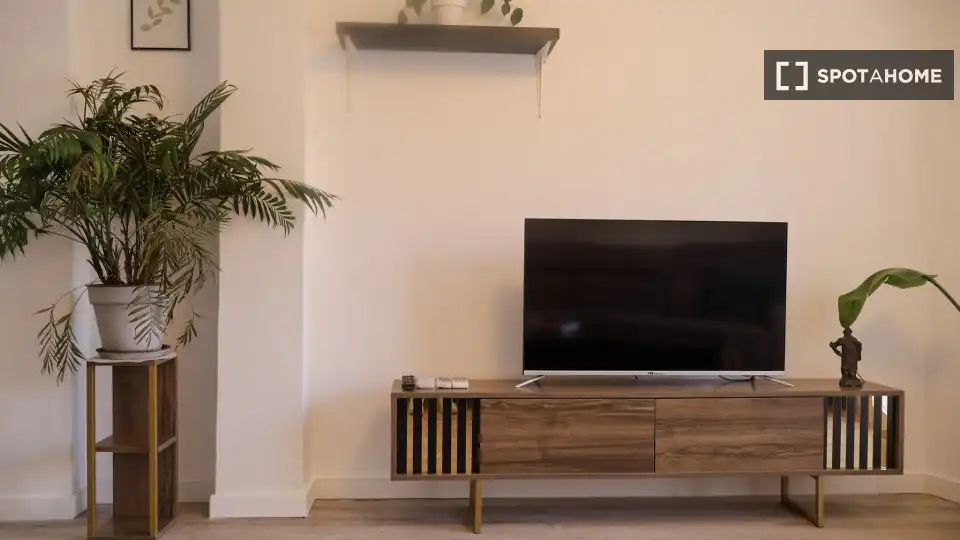 Living room of Flat for rent in Valencia  with Air Conditioner, Heating and Furnished