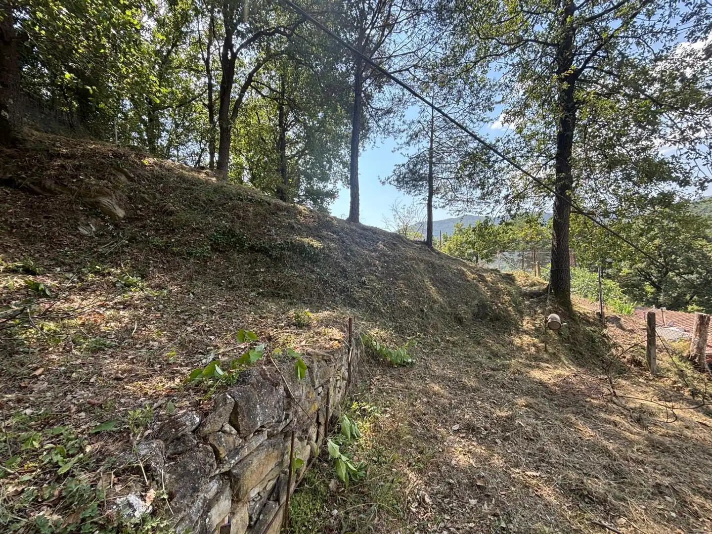 Finca rústica en venta en Ripoll