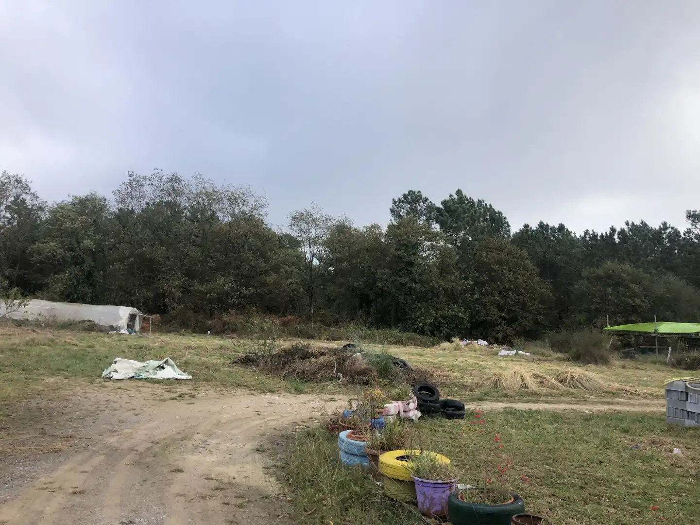 Terrenys i solars en venda a Santa Rosa - Finca Cierro Belga, Santa Rosa, imagen 4