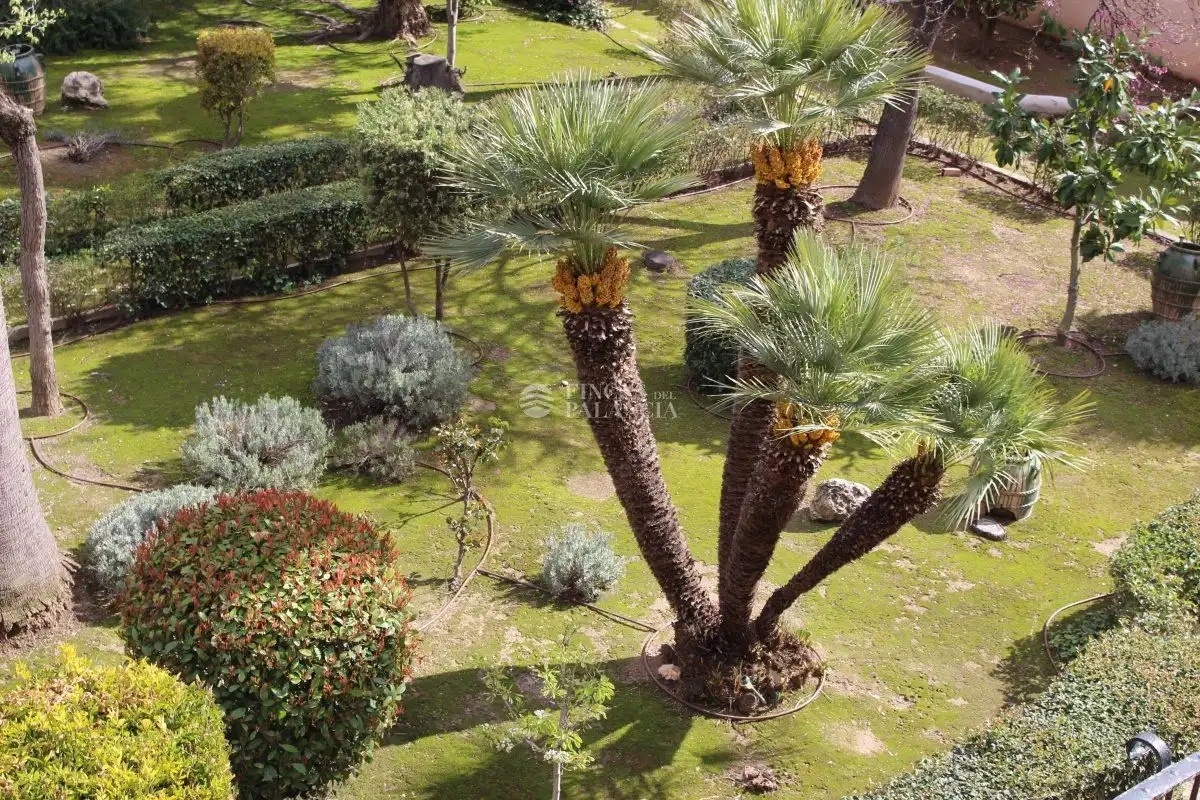 Jardí de Casa o xalet en venda en Segorbe amb Calefacció, Jardí privat i Terrassa