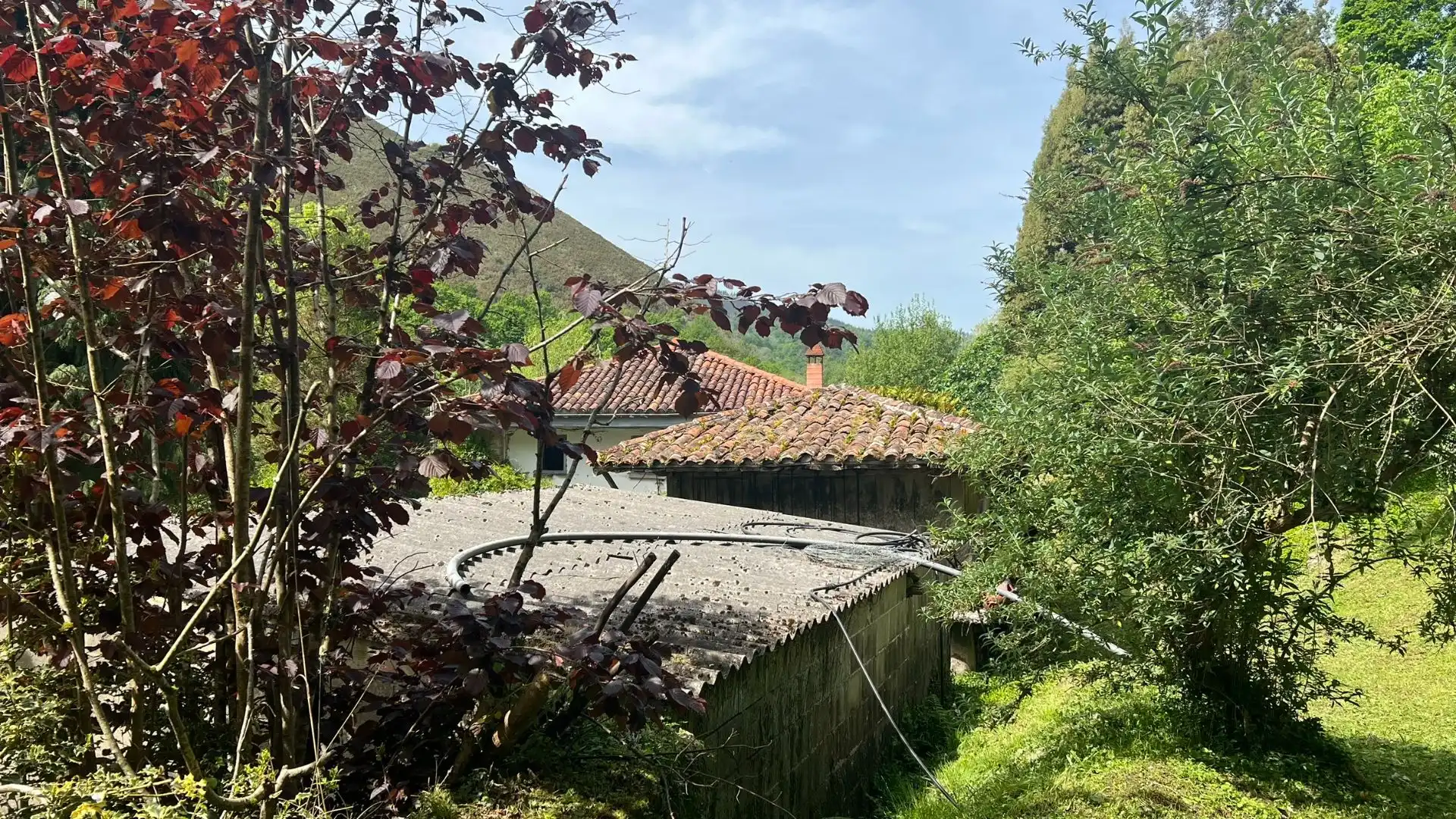 Vista exterior de Casa o xalet en venda en Cangas de Onís amb Jardí privat