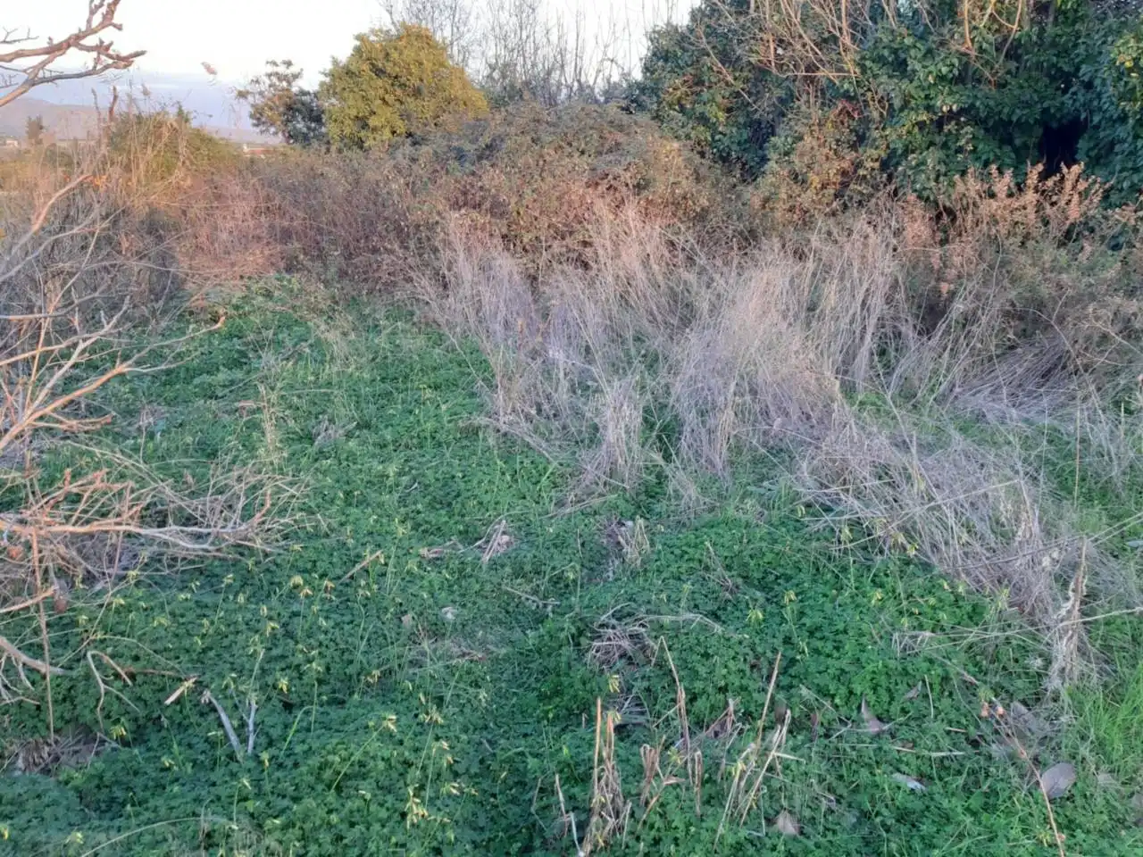 Terreni e lotti in vendita a Calle hormigones