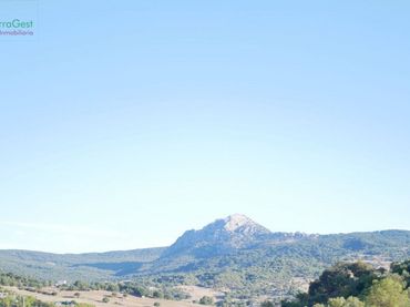 Terreni e lotti in vendita a Ubrique