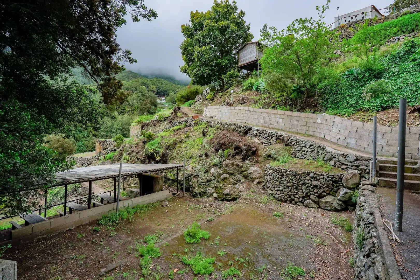 Finca rústica en venta en Calle Calle El Cedro, 52, Hermigua