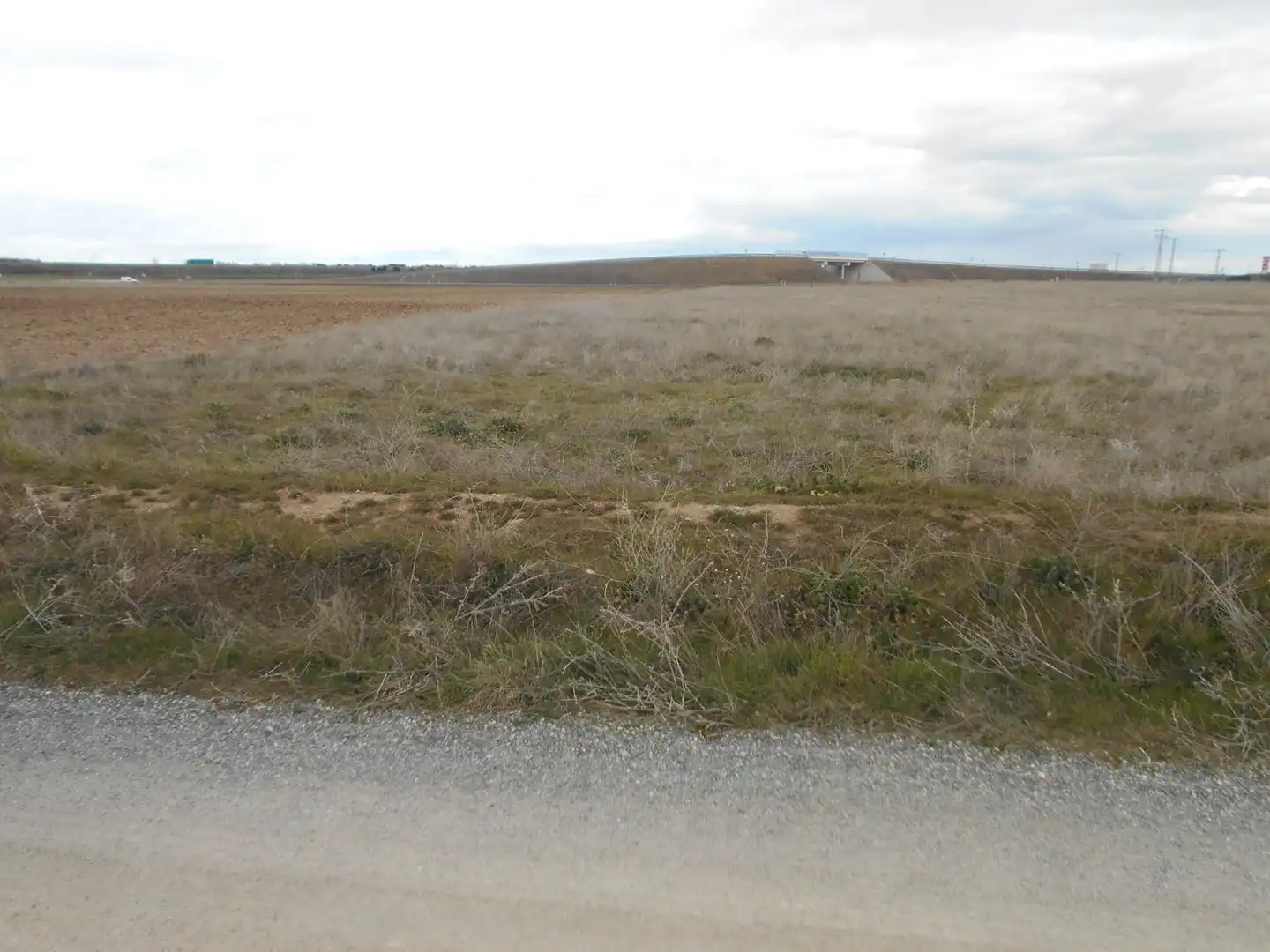 Land for sale in San Pedro del Arroyo