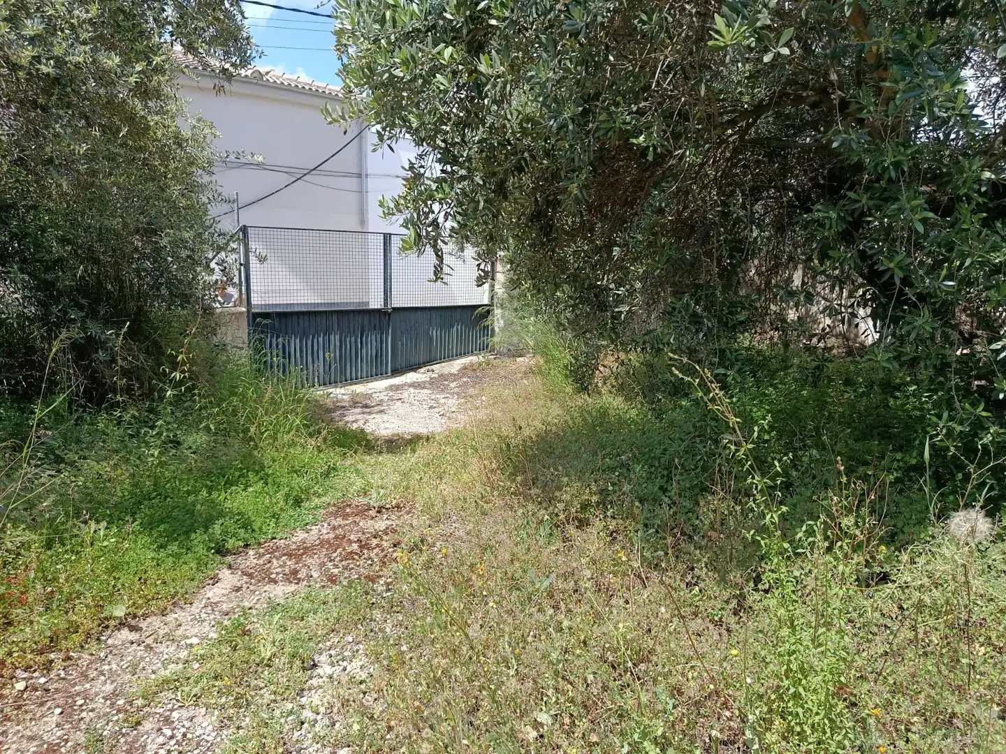 Haus oder Chalet zum Verkauf in Calle el Río, Priego de Córdoba
