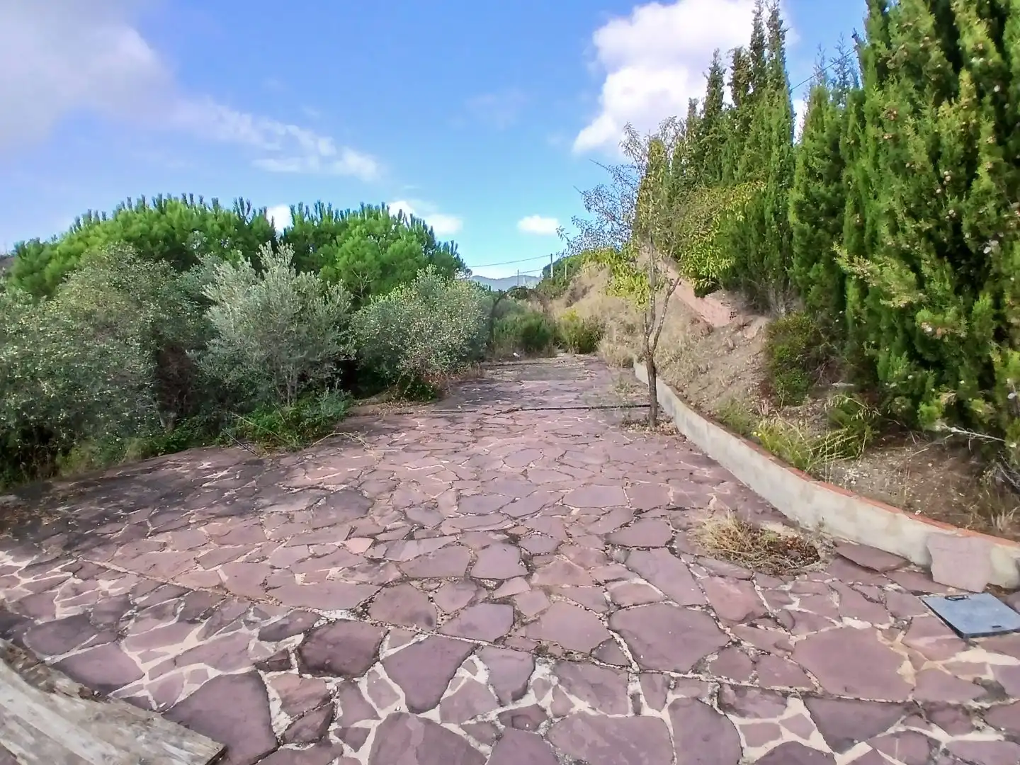 Terrain rustique à vendre à Avinguda Mirador 57, imagen 5