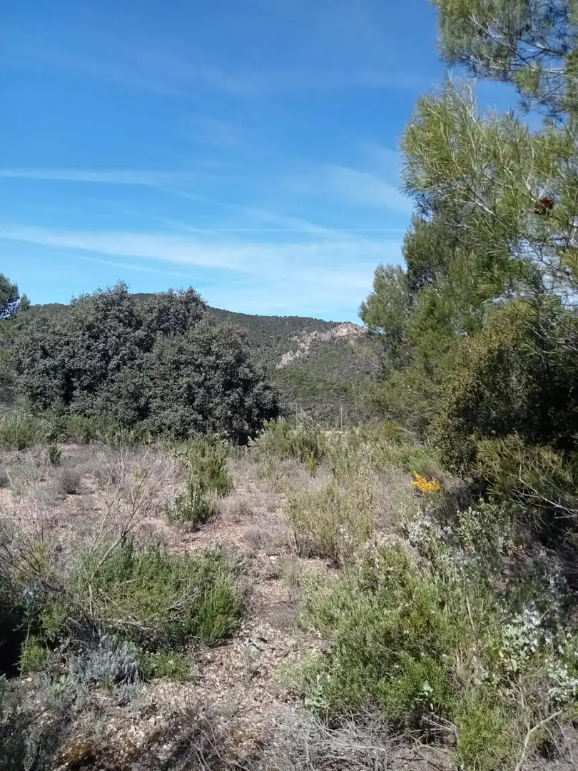 Residential land for sale in Urbanizacion NUEVA SIERRA EE