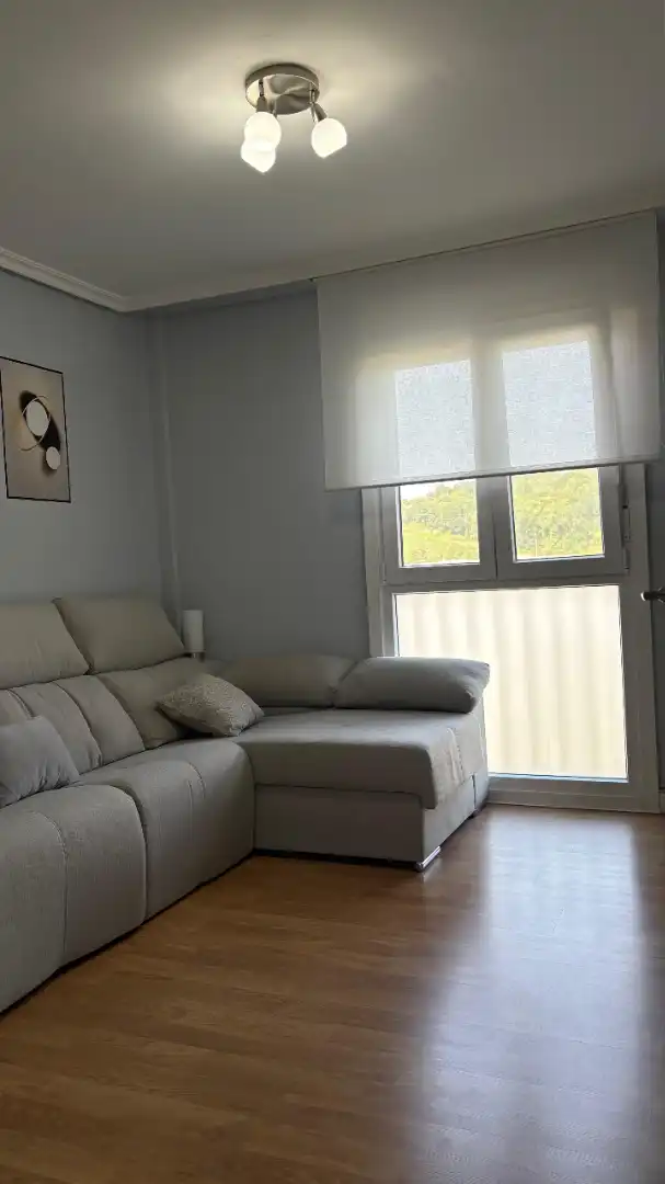 Sala d'estar de Pis en venda en Usurbil amb Terrassa i Moblat