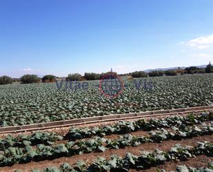 Residencial en venda en Lorca