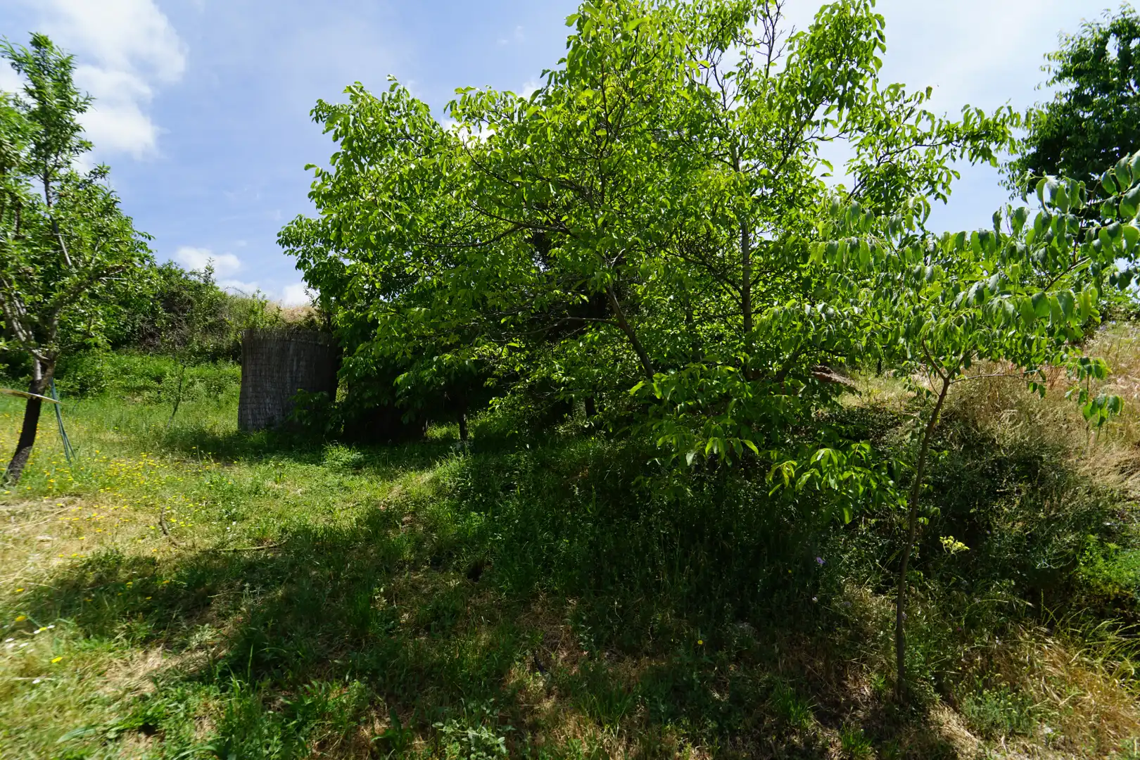 Finca rústica en venda en La Taha amb Terrassa i Moblat