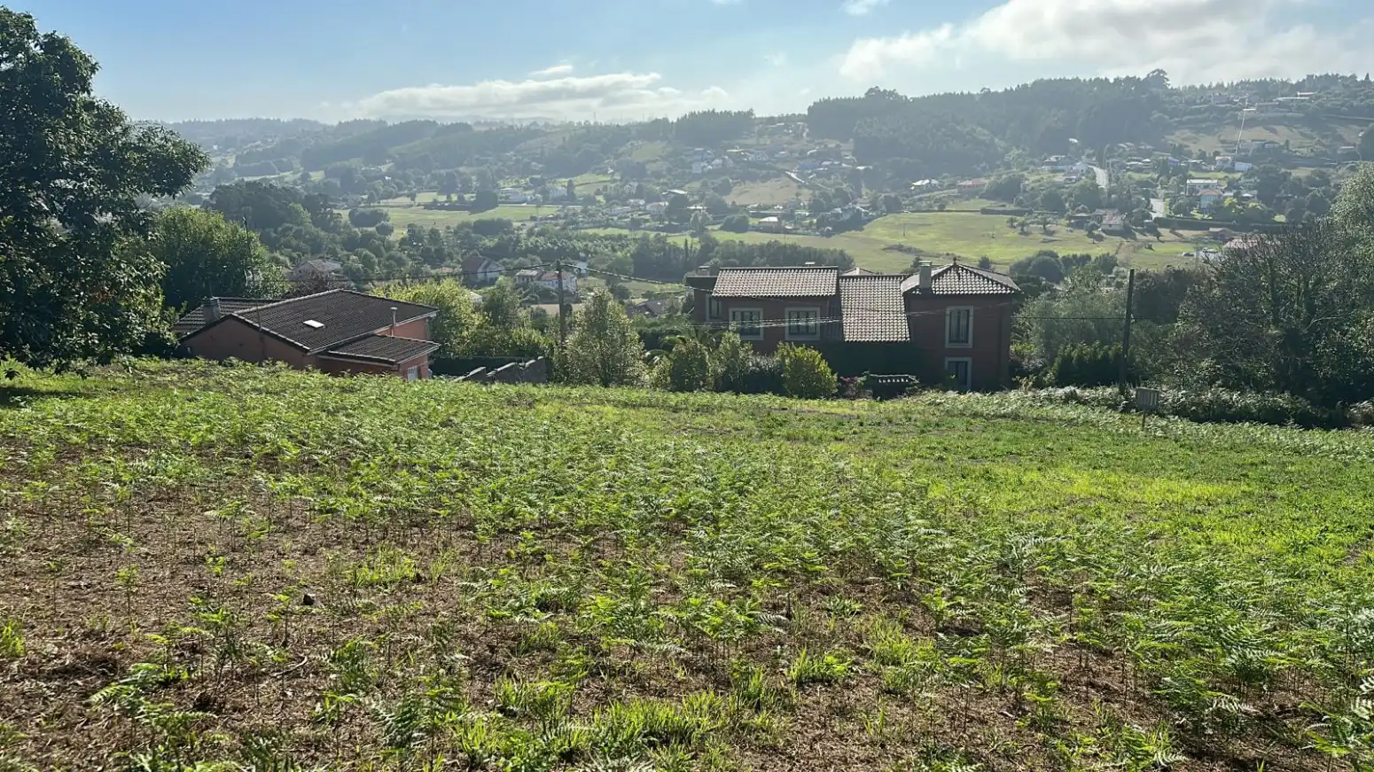 Terreno rustico in vendita a Naveces - San Adriano