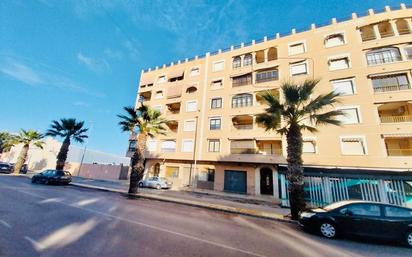 Vista exterior de Apartament en venda en Guardamar del Segura amb Aire condicionat, Calefacció i Piscina comunitària