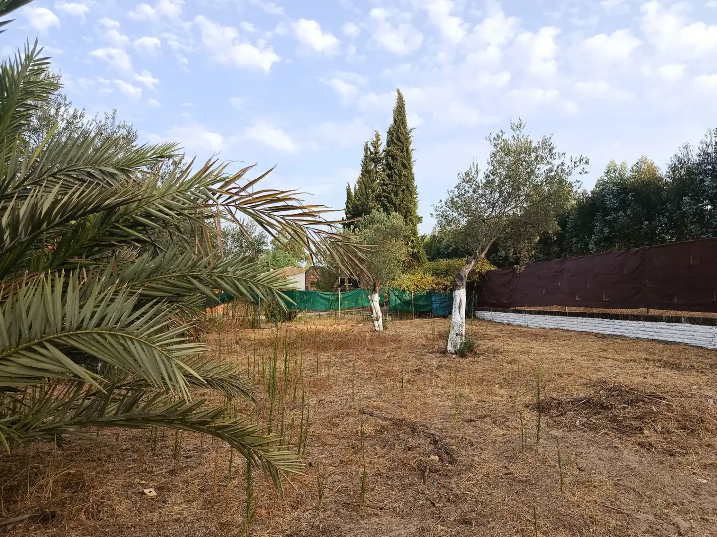 Finca rústica en venda en Hinojos amb Terrassa