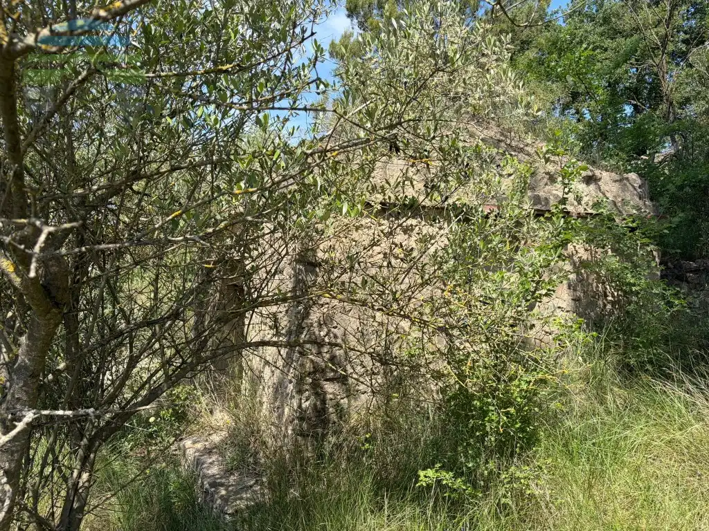 Wohnbaugrundstück zum Verkauf in Cami de la Carosa, imagen 3