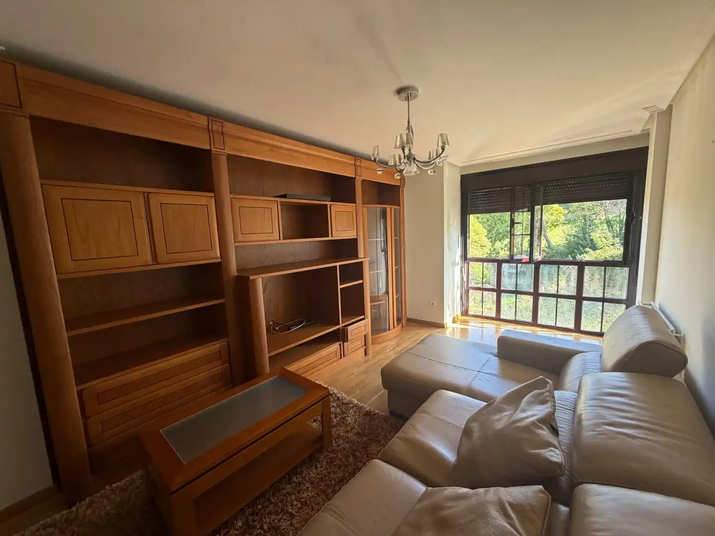 Living room of Flat for rent in Nava, Asturias