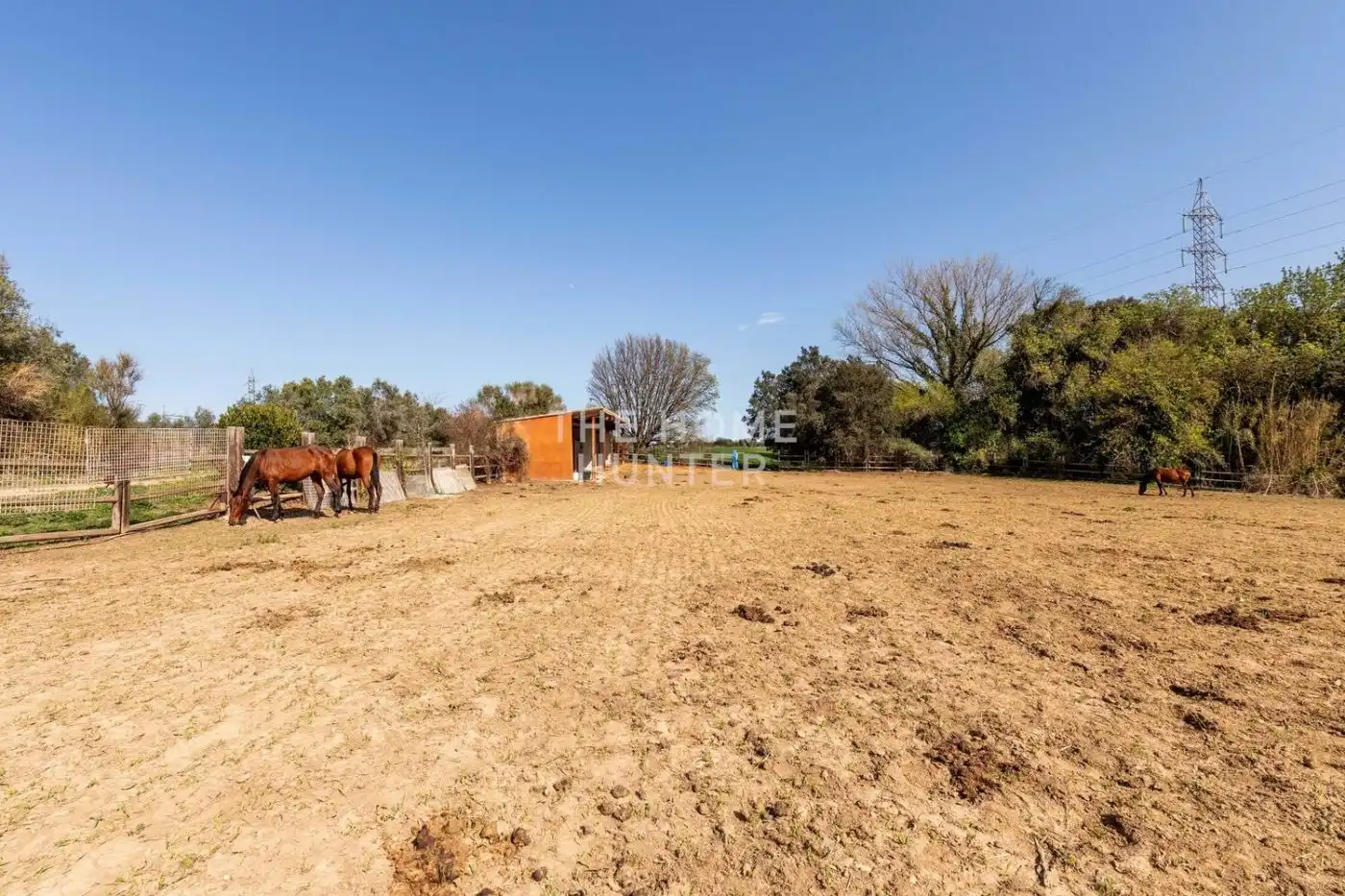 Houses for sale in Siurana