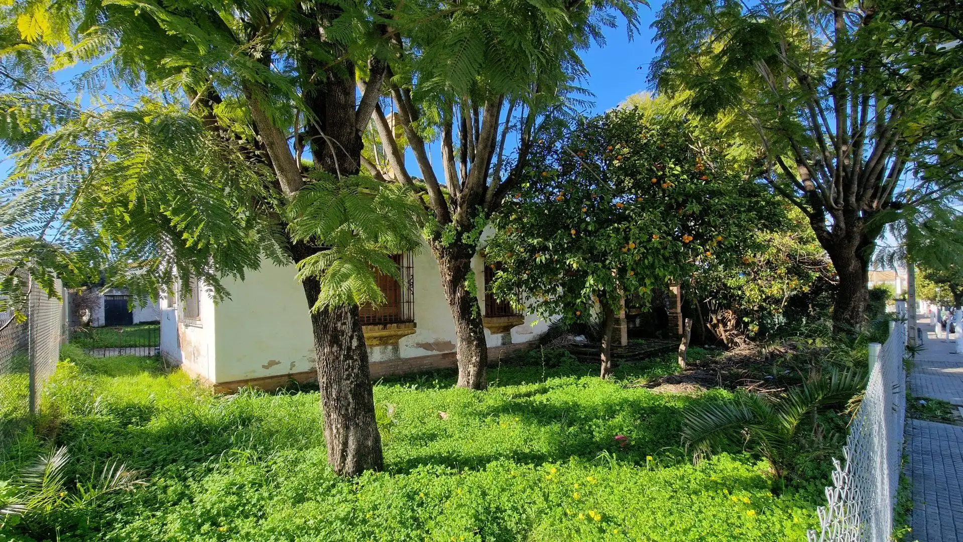 Jardín de Finca rústica en venta en Valencina de la Concepción
