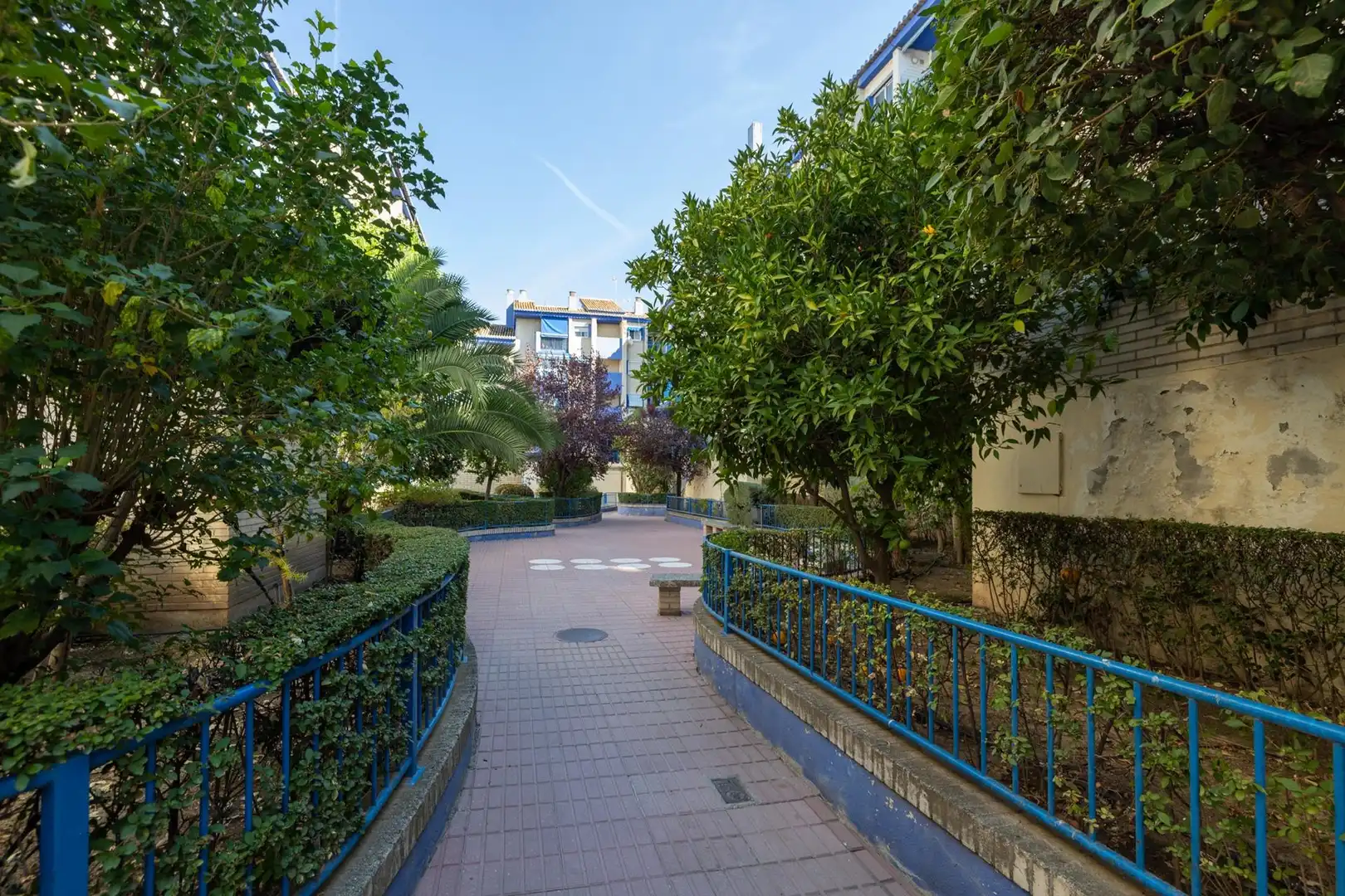 Flat for sale in Calle ROSALIA DE CASTRO, imagen 3